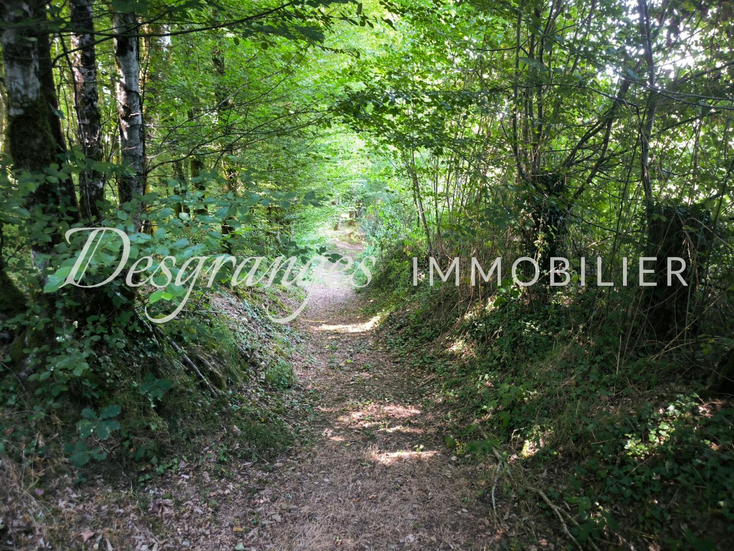 à vendre propriété Savignac-Lédrier Dordogne 20