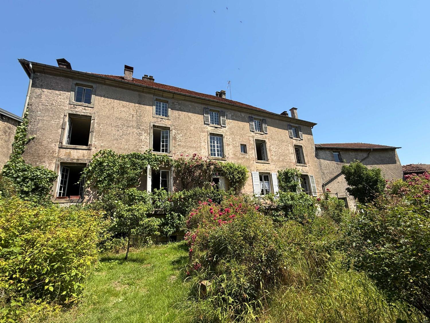 à vendre maison bourgeoise Châtillon-sur-Saône Vosges 45