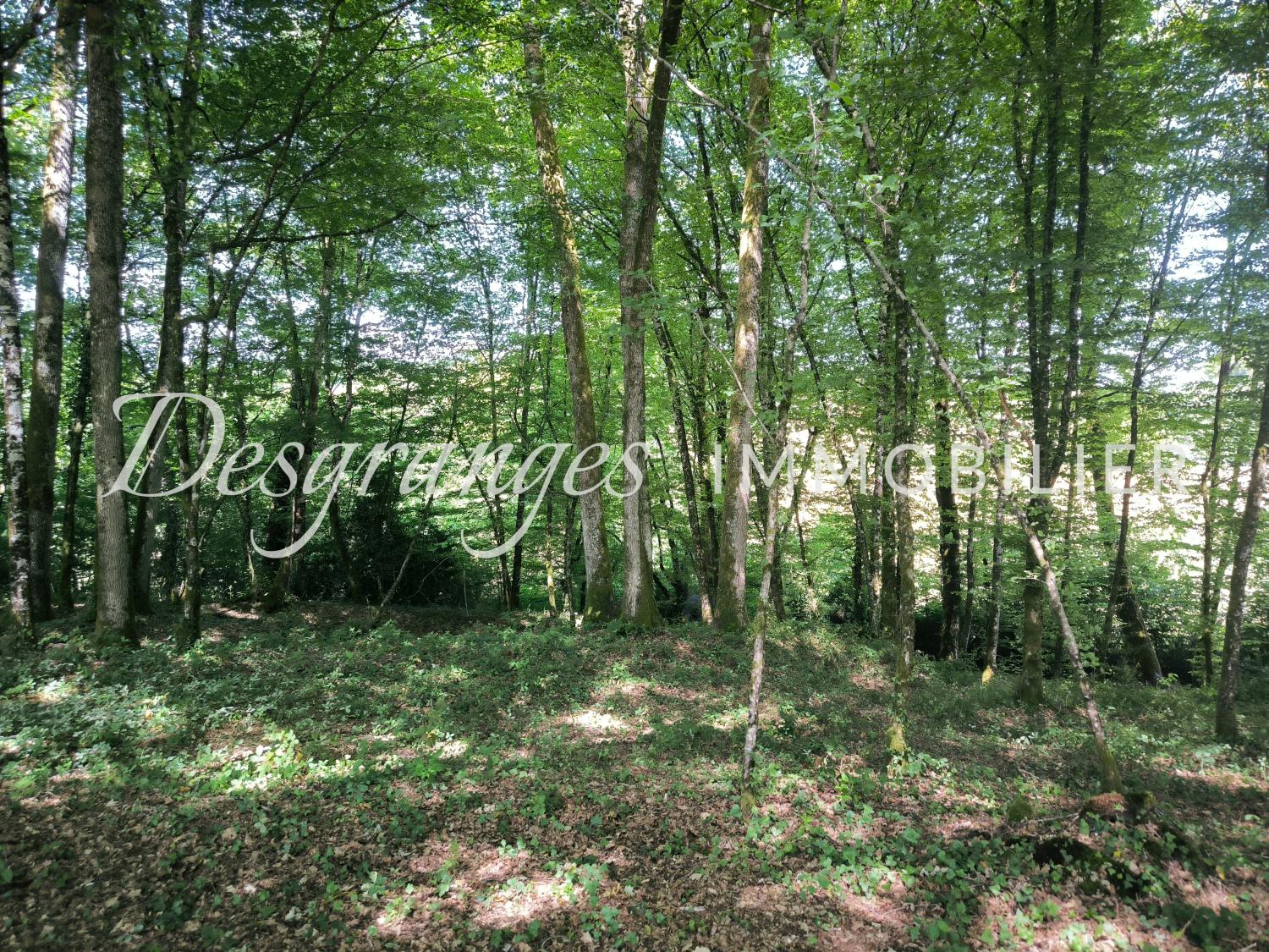 à vendre propriété Savignac-Lédrier Dordogne 21