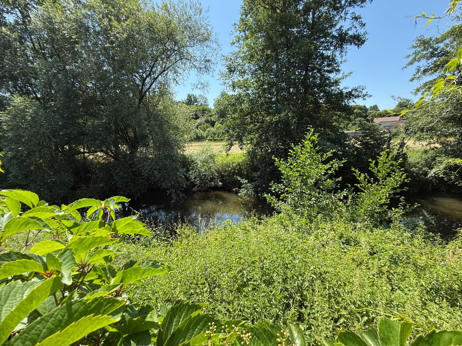 à vendre maison bourgeoise Châtillon-sur-Saône Vosges 36