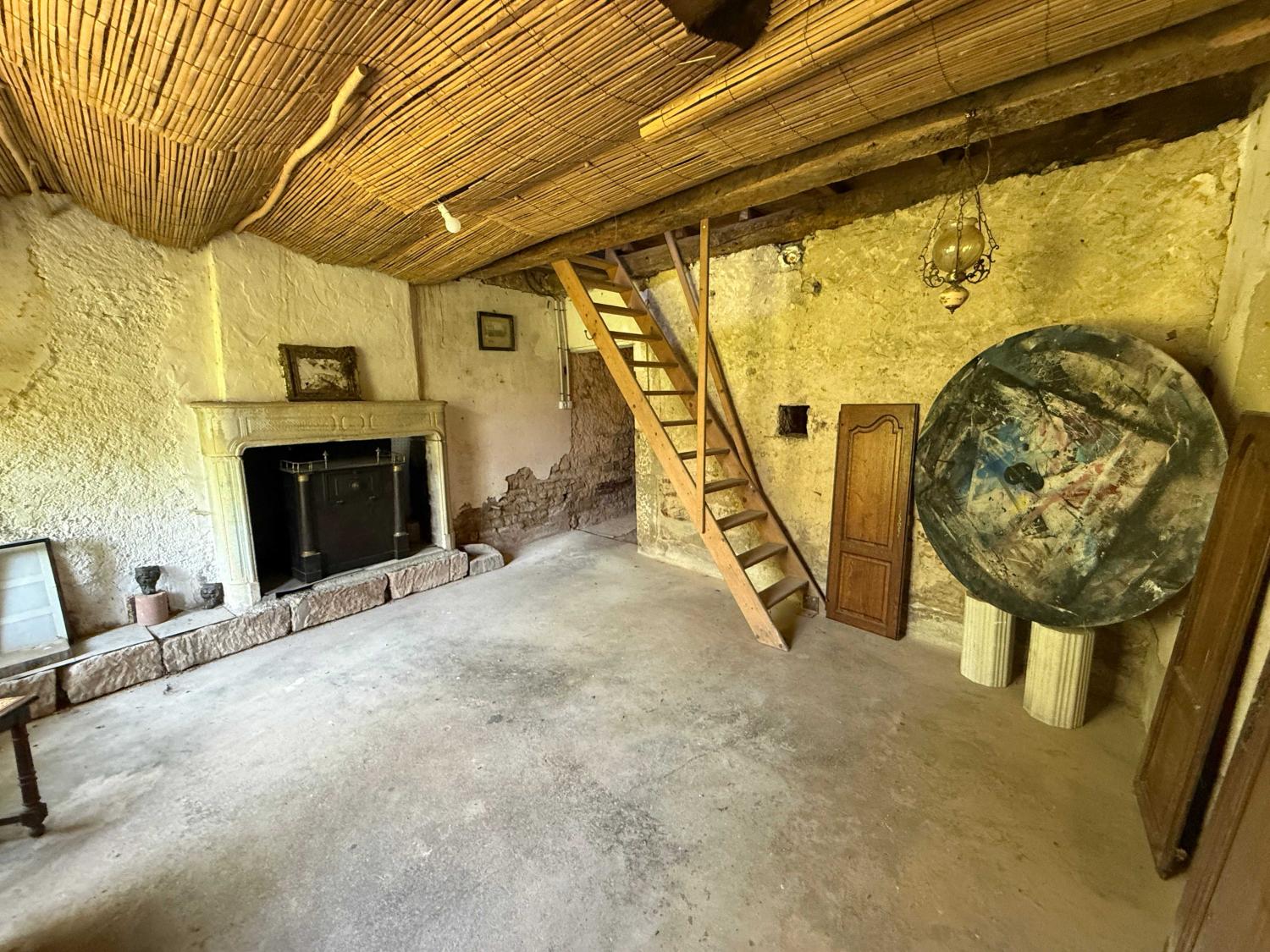à vendre maison bourgeoise Châtillon-sur-Saône Vosges 39