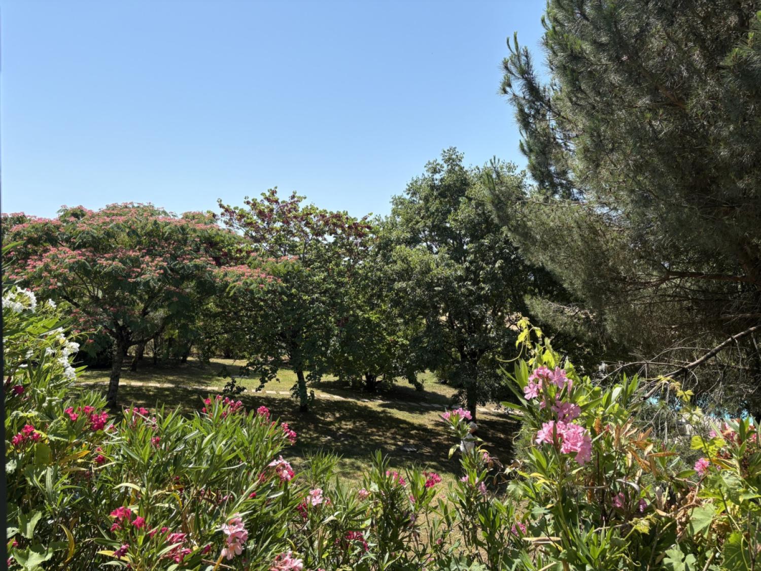 à vendre maison avec gîte Génis Dordogne 24