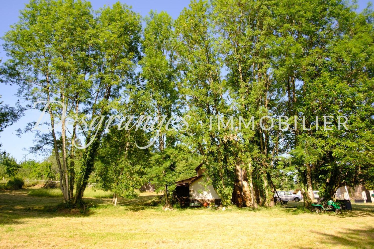 à vendre maison Jumilhac-le-Grand Dordogne 16