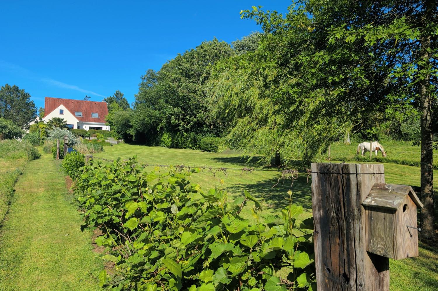 à vendre villa Audembert Pas-de-Calais 7
