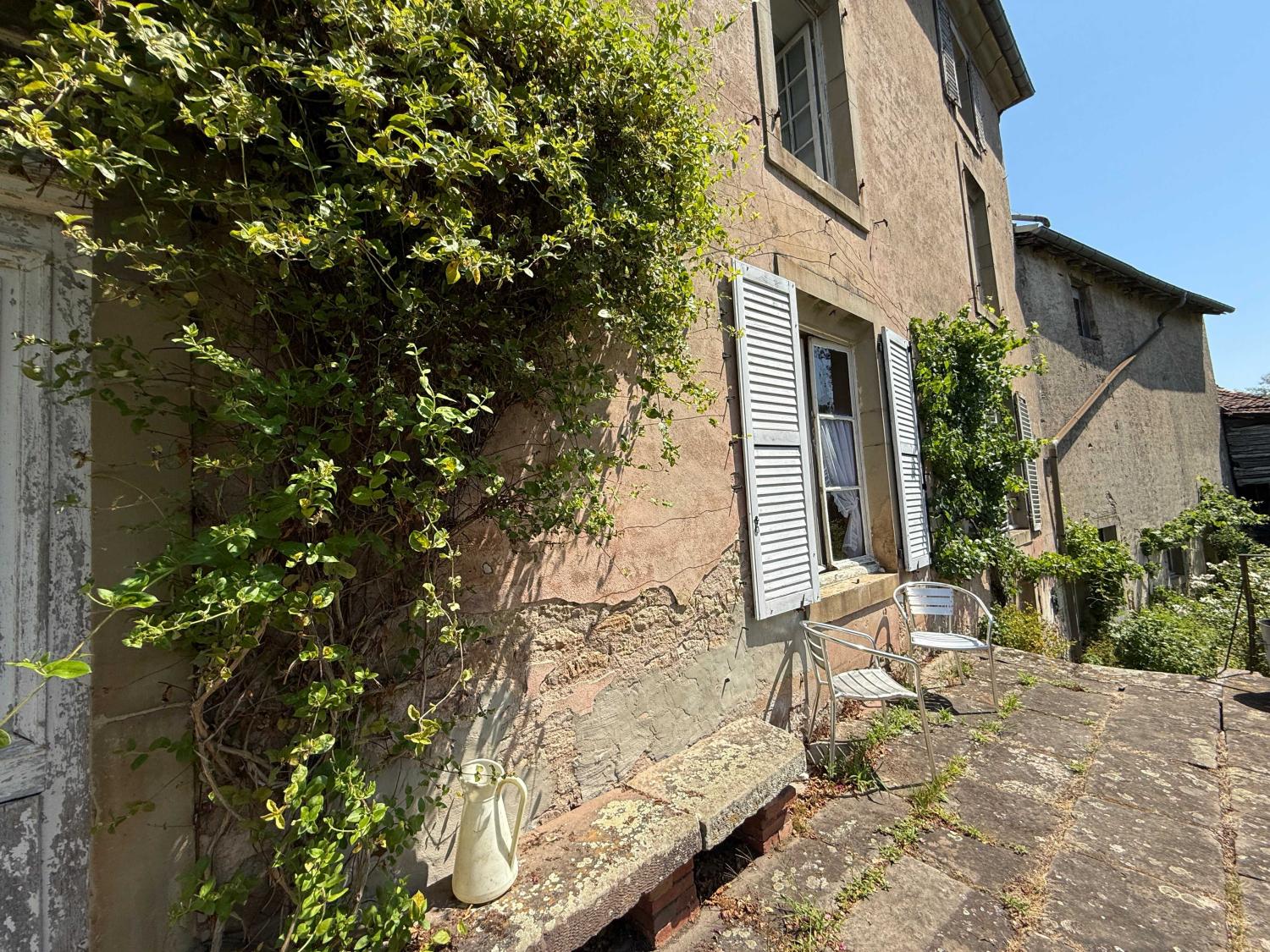 à vendre maison bourgeoise Châtillon-sur-Saône Vosges 33