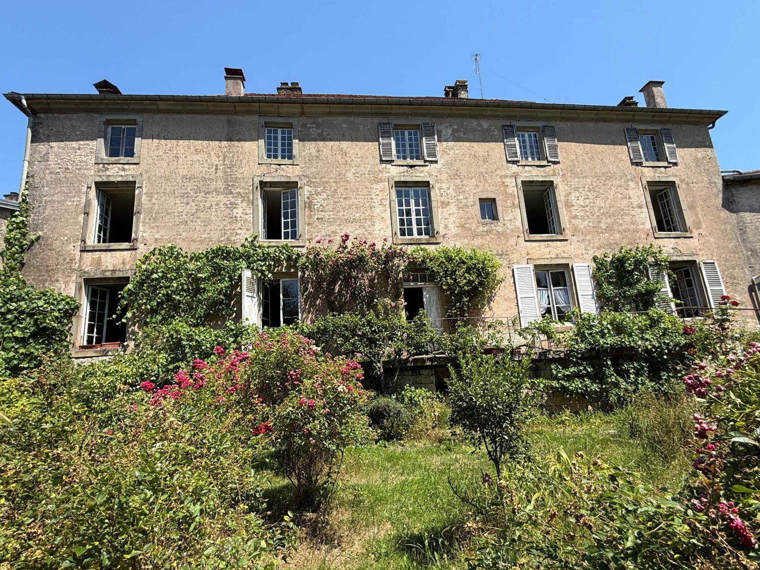 à vendre maison bourgeoise Châtillon-sur-Saône Vosges 44
