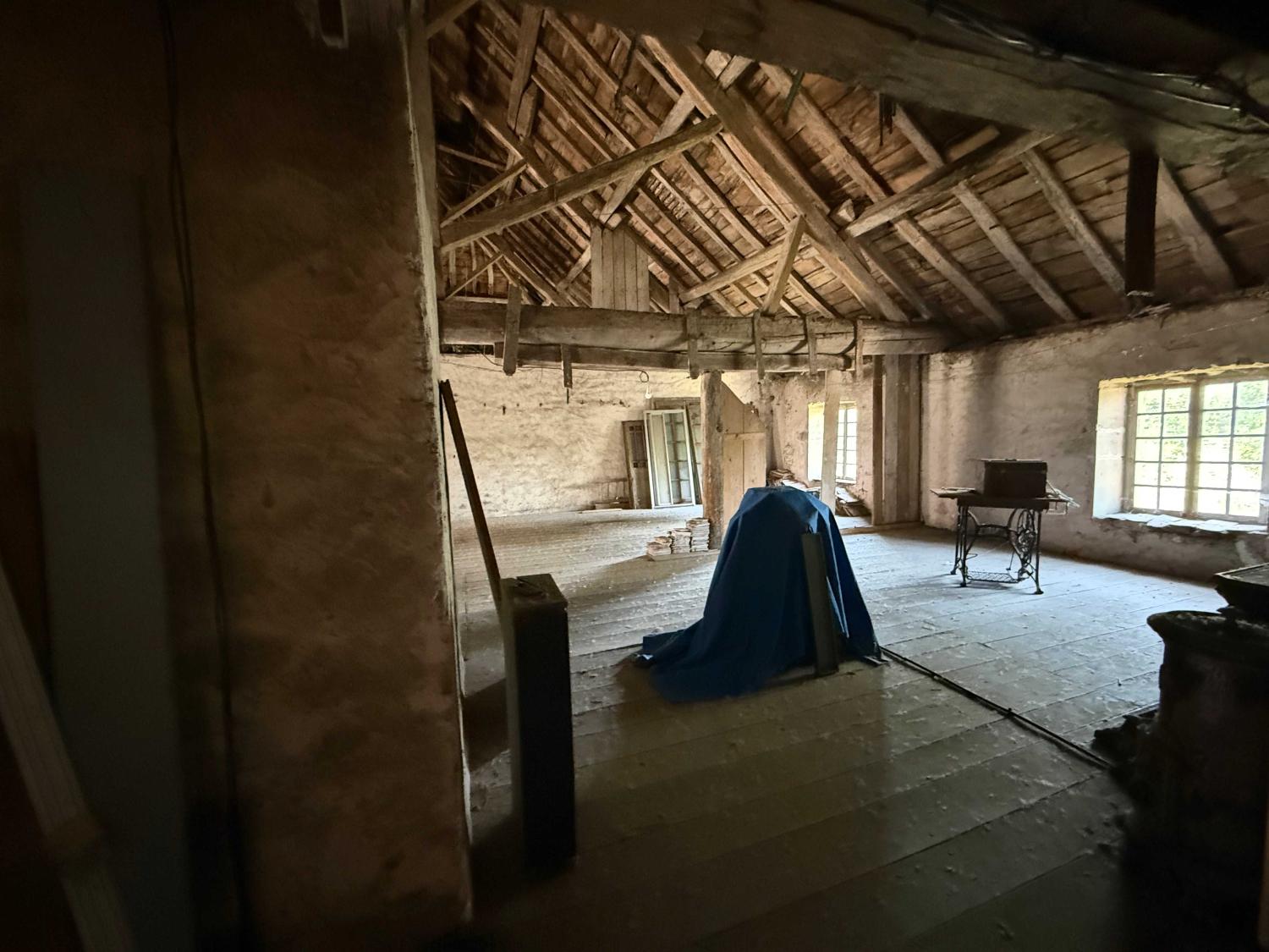 à vendre maison bourgeoise Châtillon-sur-Saône Vosges 30