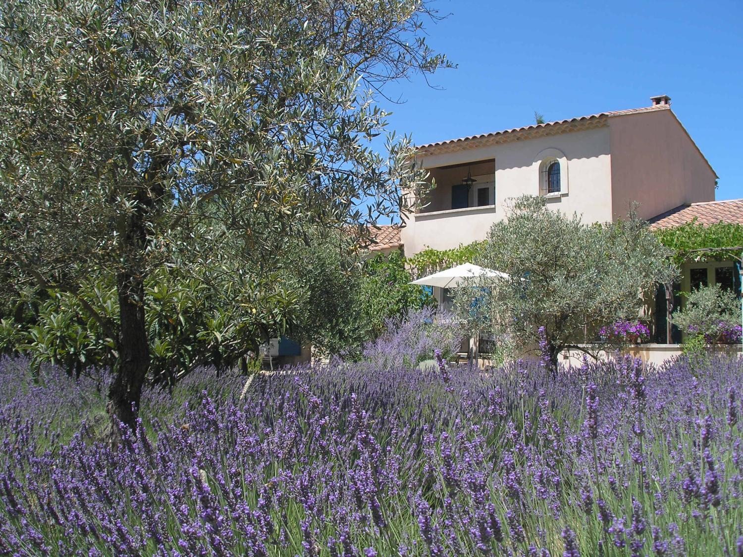  à vendre gîtes/ chambres d'hôtes Lacoste Vaucluse 1