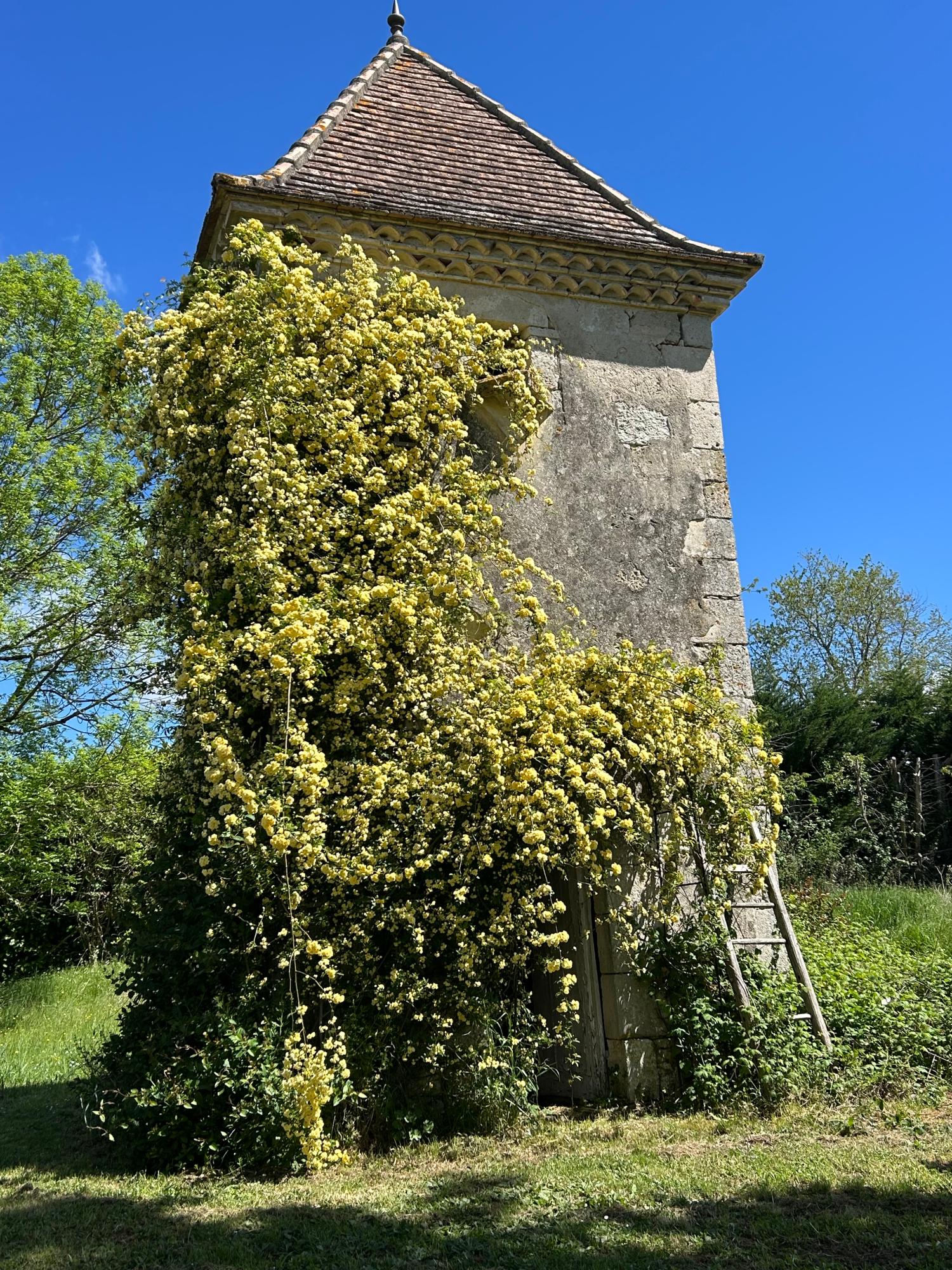  à vendre maison indépendant Grayssas Lot-et-Garonne 30