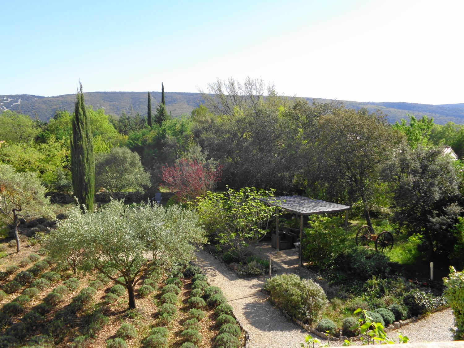  à vendre gîtes/ chambres d'hôtes Lacoste Vaucluse 10