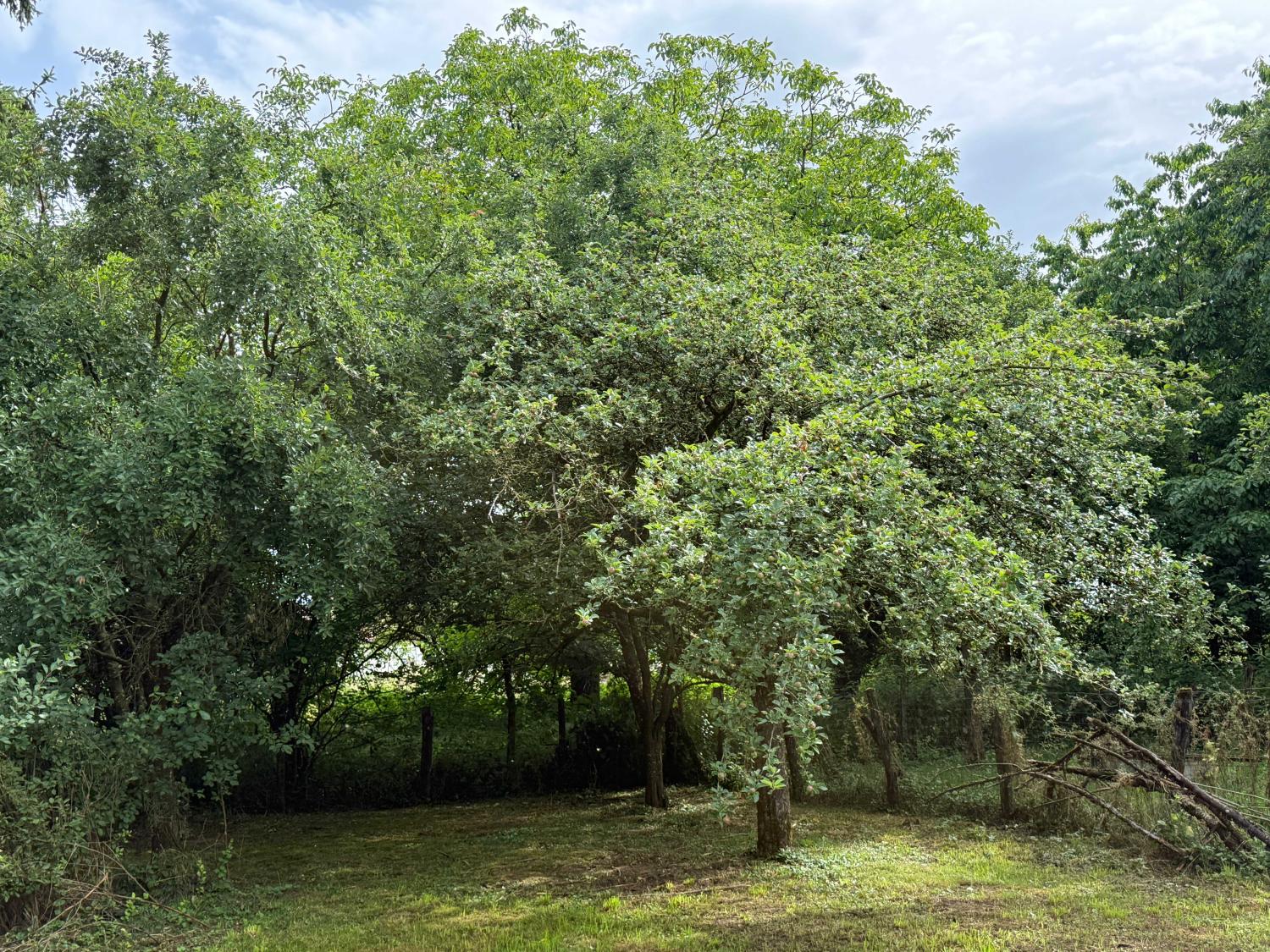  à vendre ferme de village Augicourt Haute-Saône 27