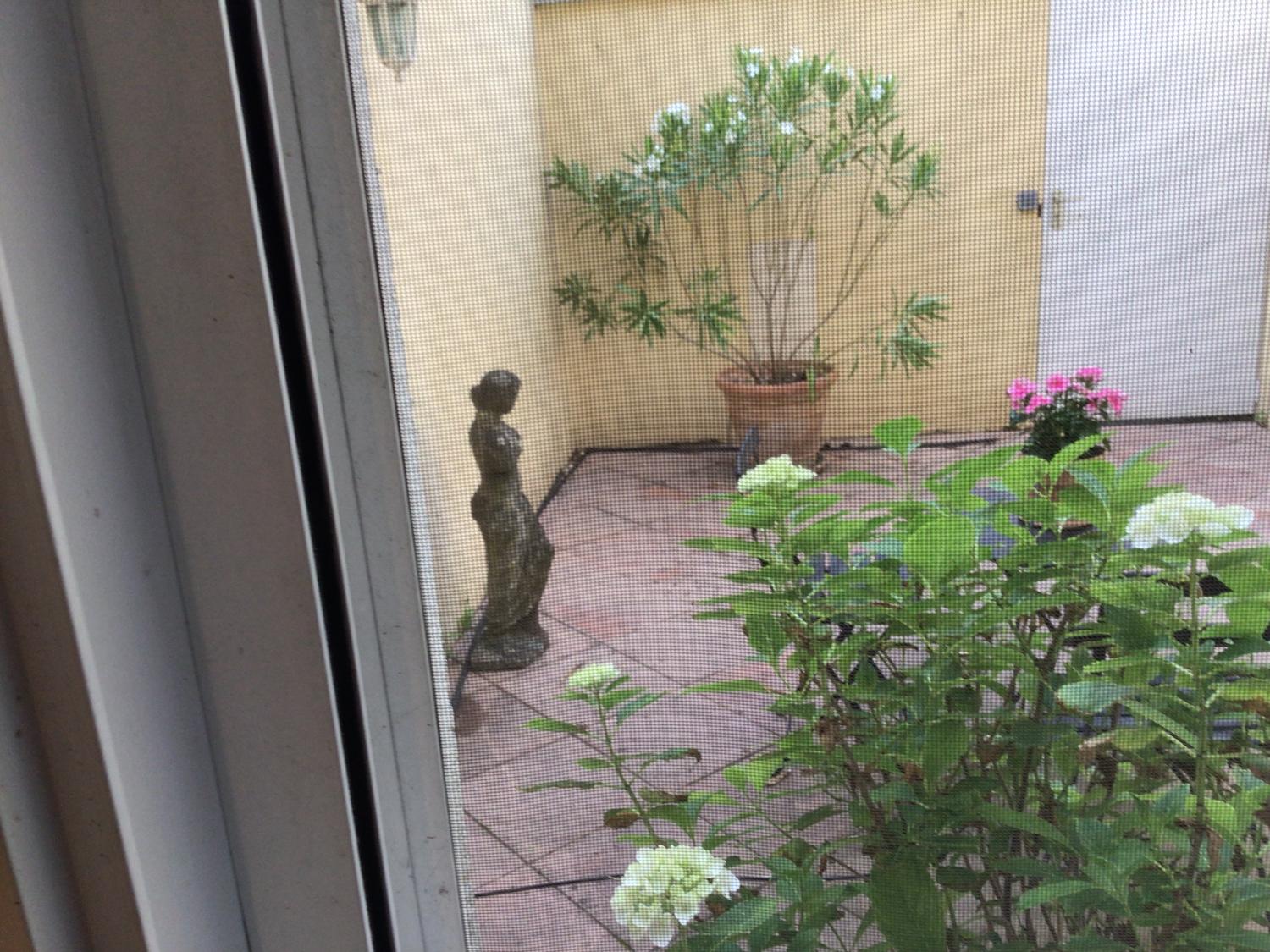 à vendre villa Mougins Alpes-Maritimes 13