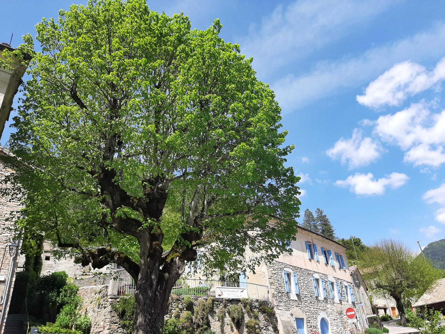  à vendre maison indépendant Châtillon-en-Diois Drôme 44