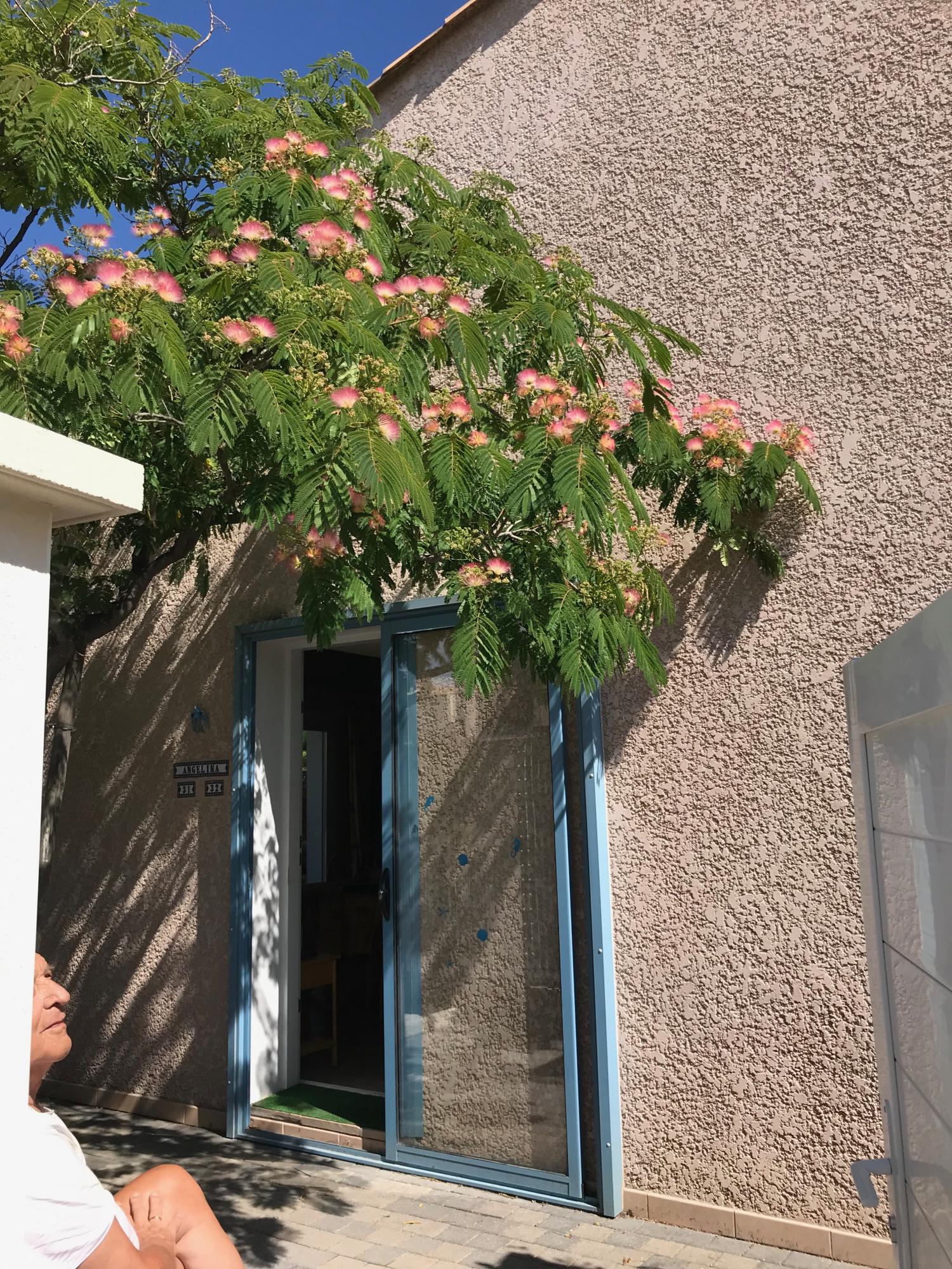  à vendre villa Agde Hérault 14