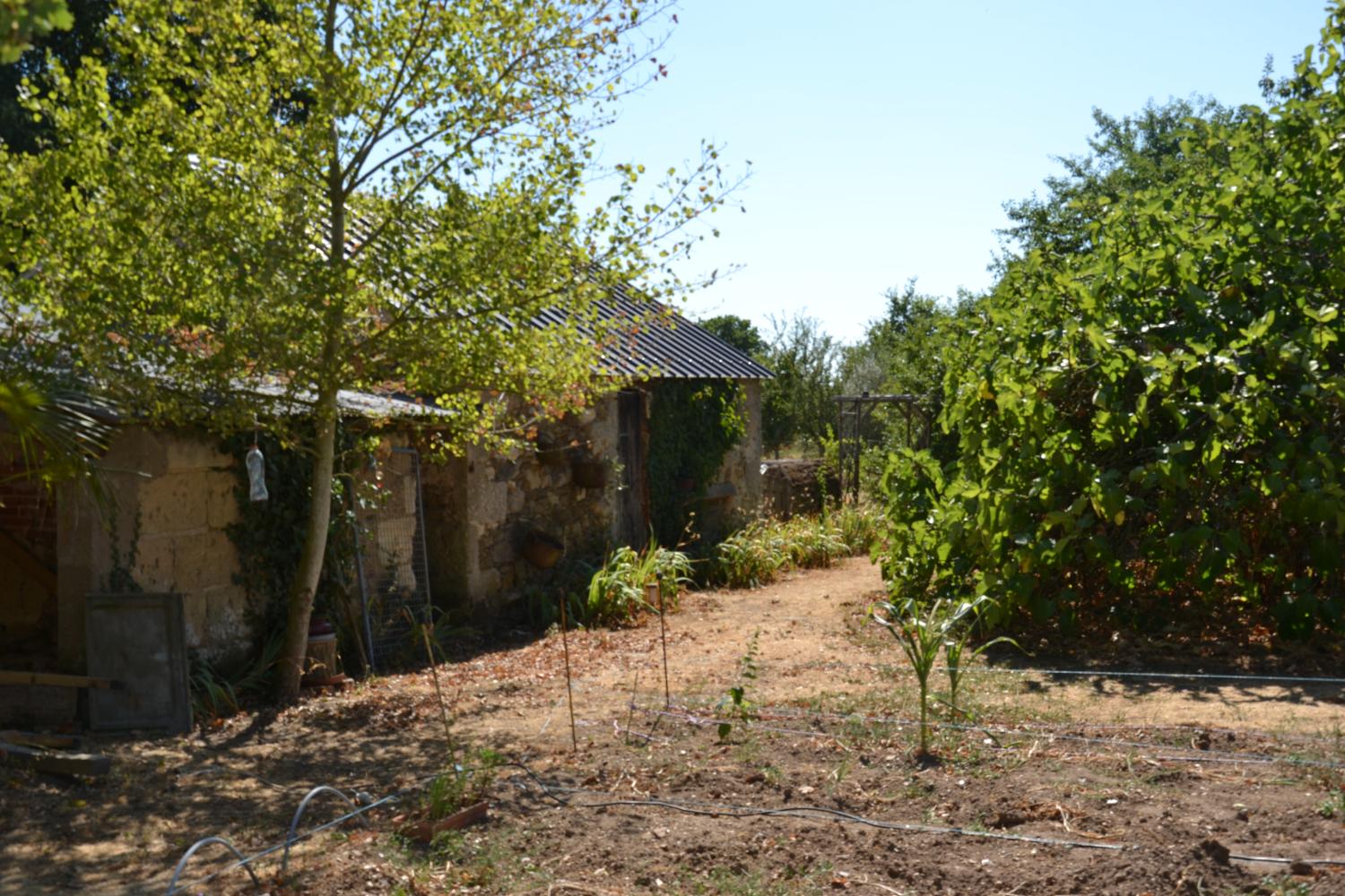  à vendre ferme Chavagnes Maine-et-Loire 3