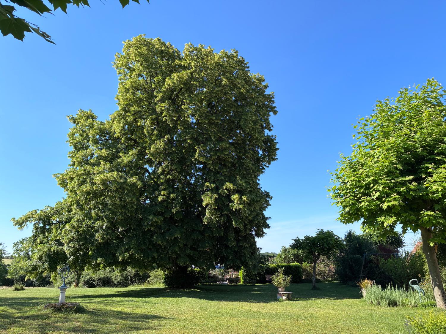 à vendre propriété Saint-Cyprien Dordogne 4