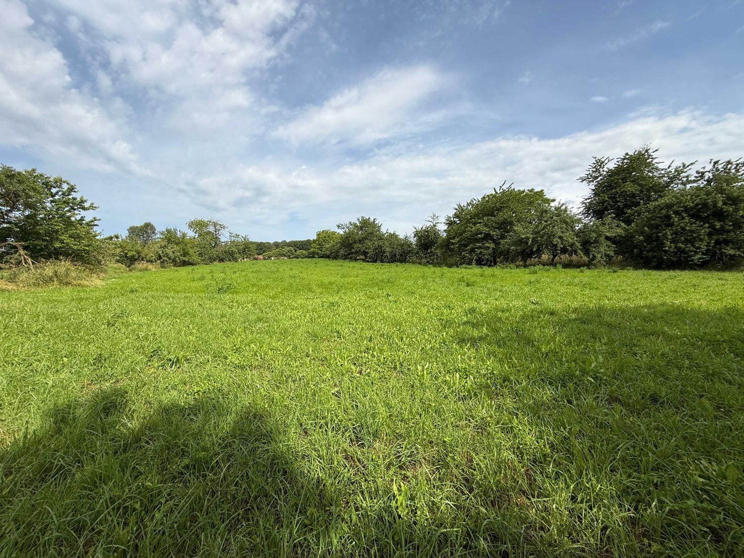  à vendre ferme de village Augicourt Haute-Saône 33