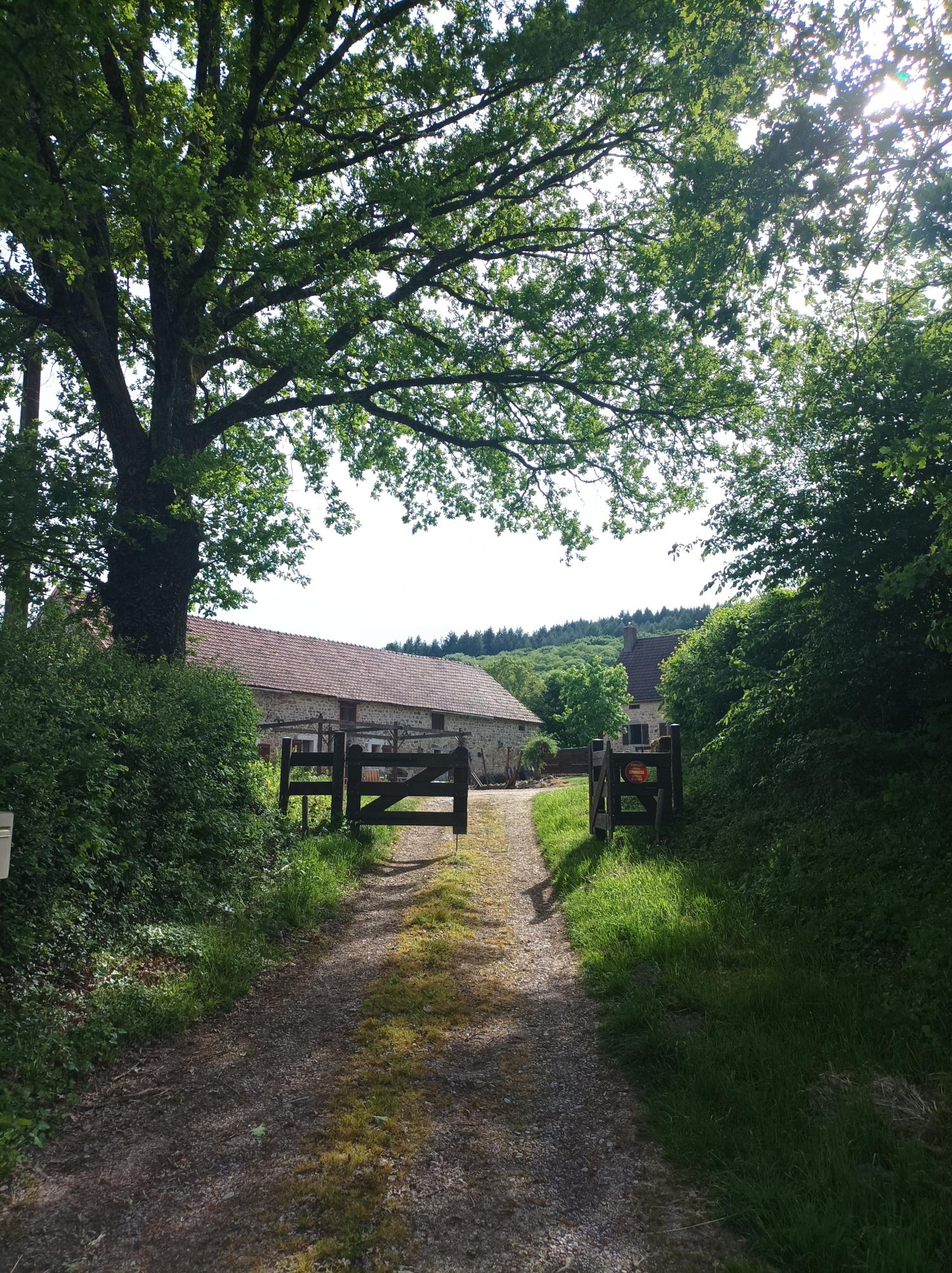 à vendre maison avec gîte Thil-sur-Arroux Saône-et-Loire 5