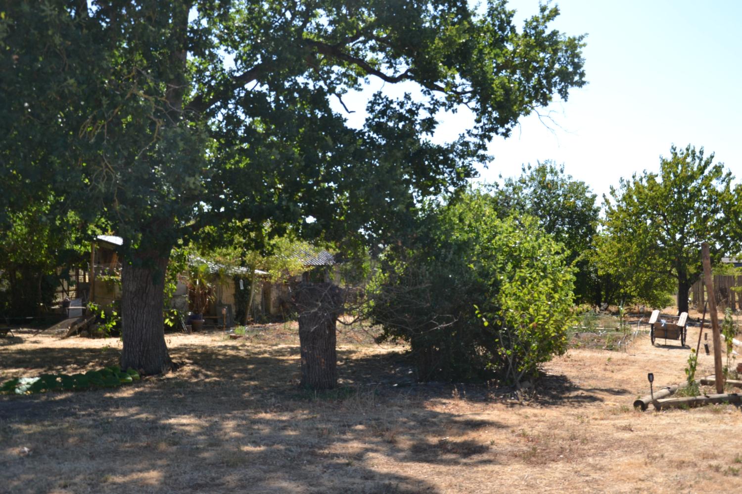 à vendre ferme Chavagnes Maine-et-Loire 4