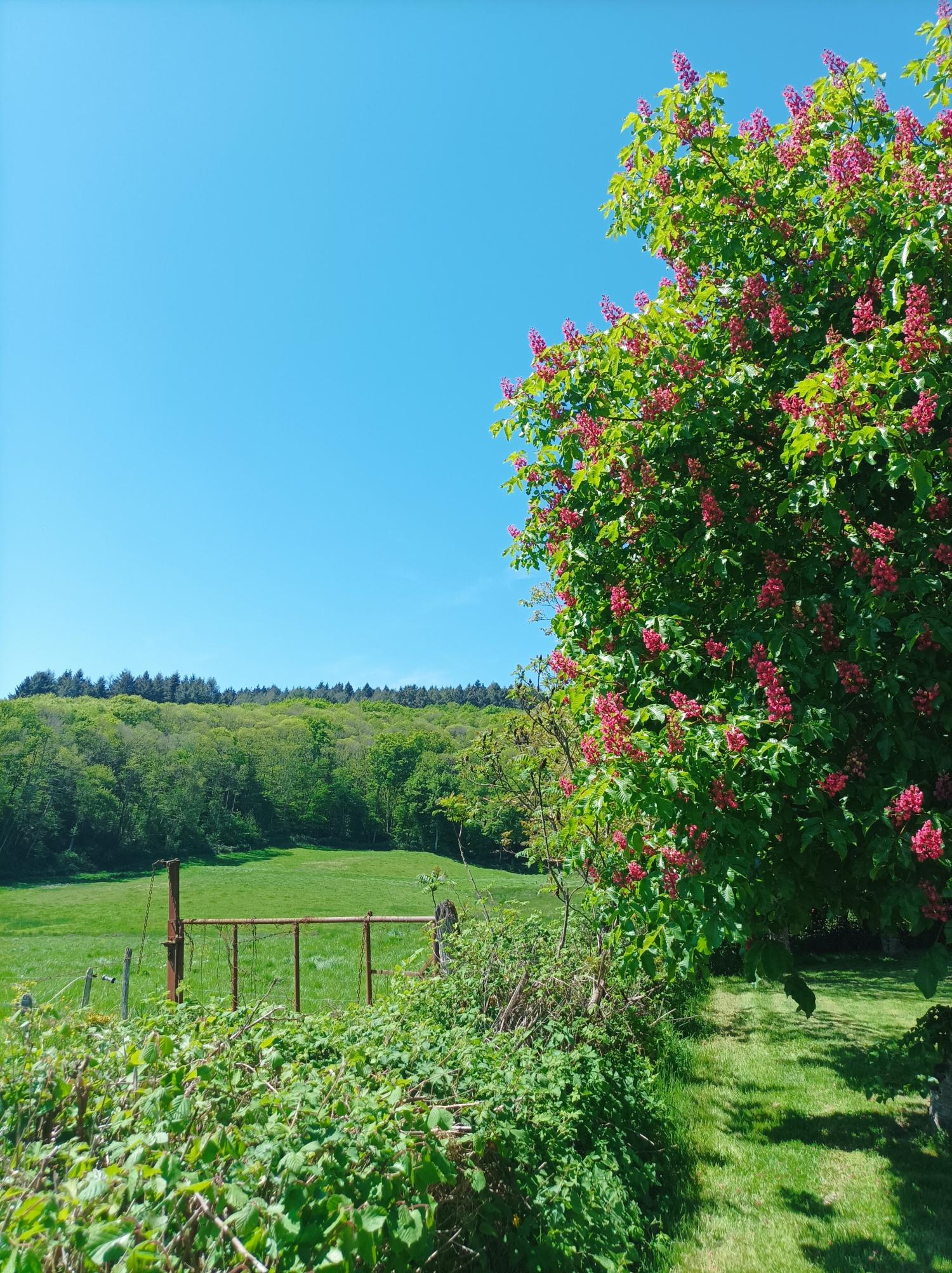 à vendre maison avec gîte Thil-sur-Arroux Saône-et-Loire 29