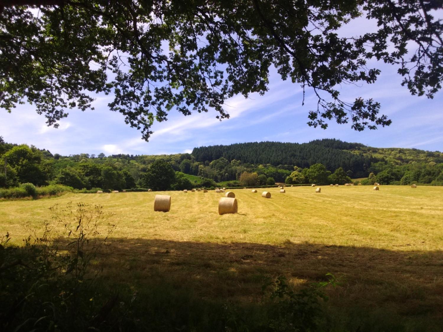  à vendre maison avec gîte Thil-sur-Arroux Saône-et-Loire 30
