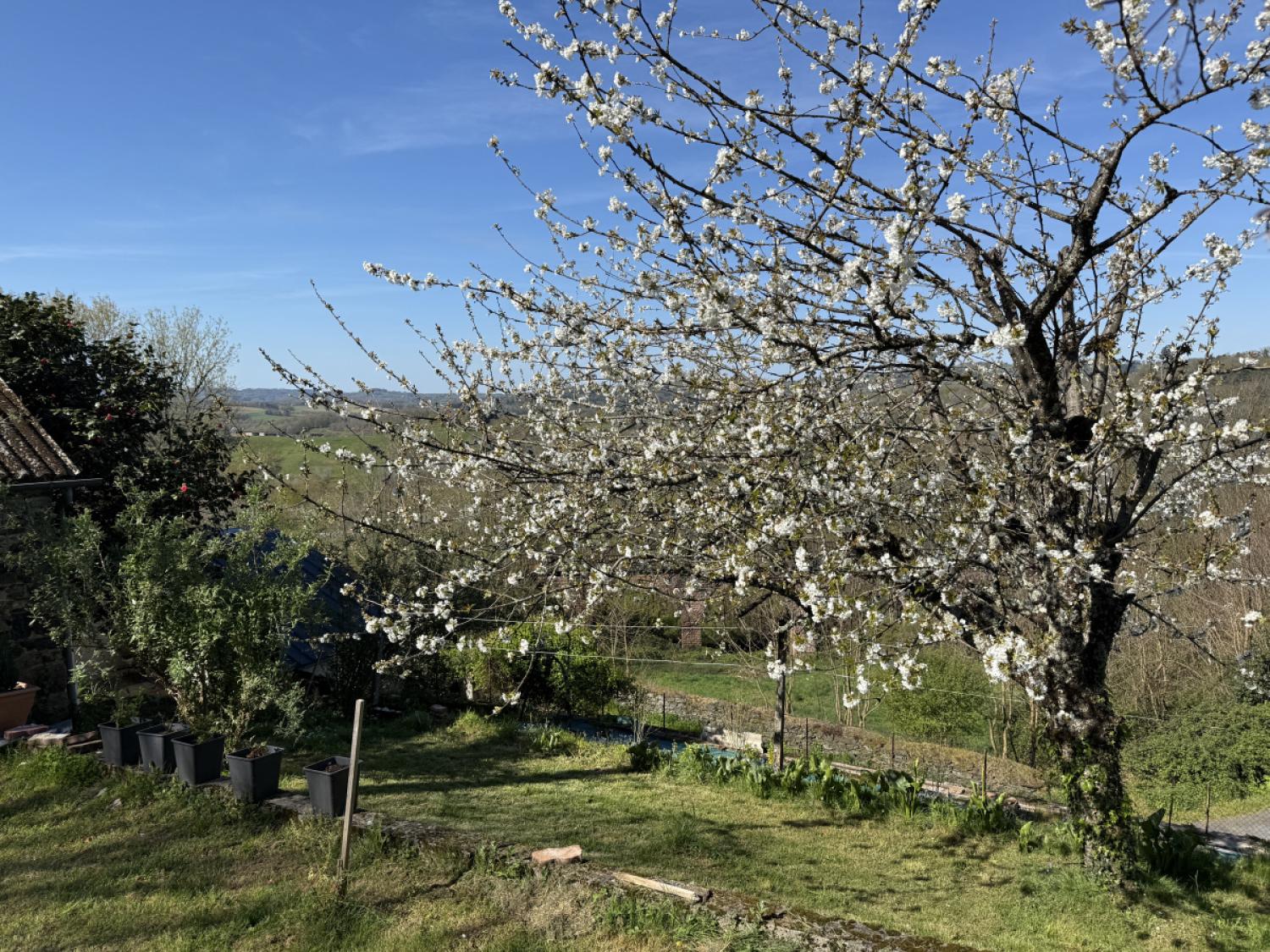 à vendre maison indépendant Vignols Corrèze 19