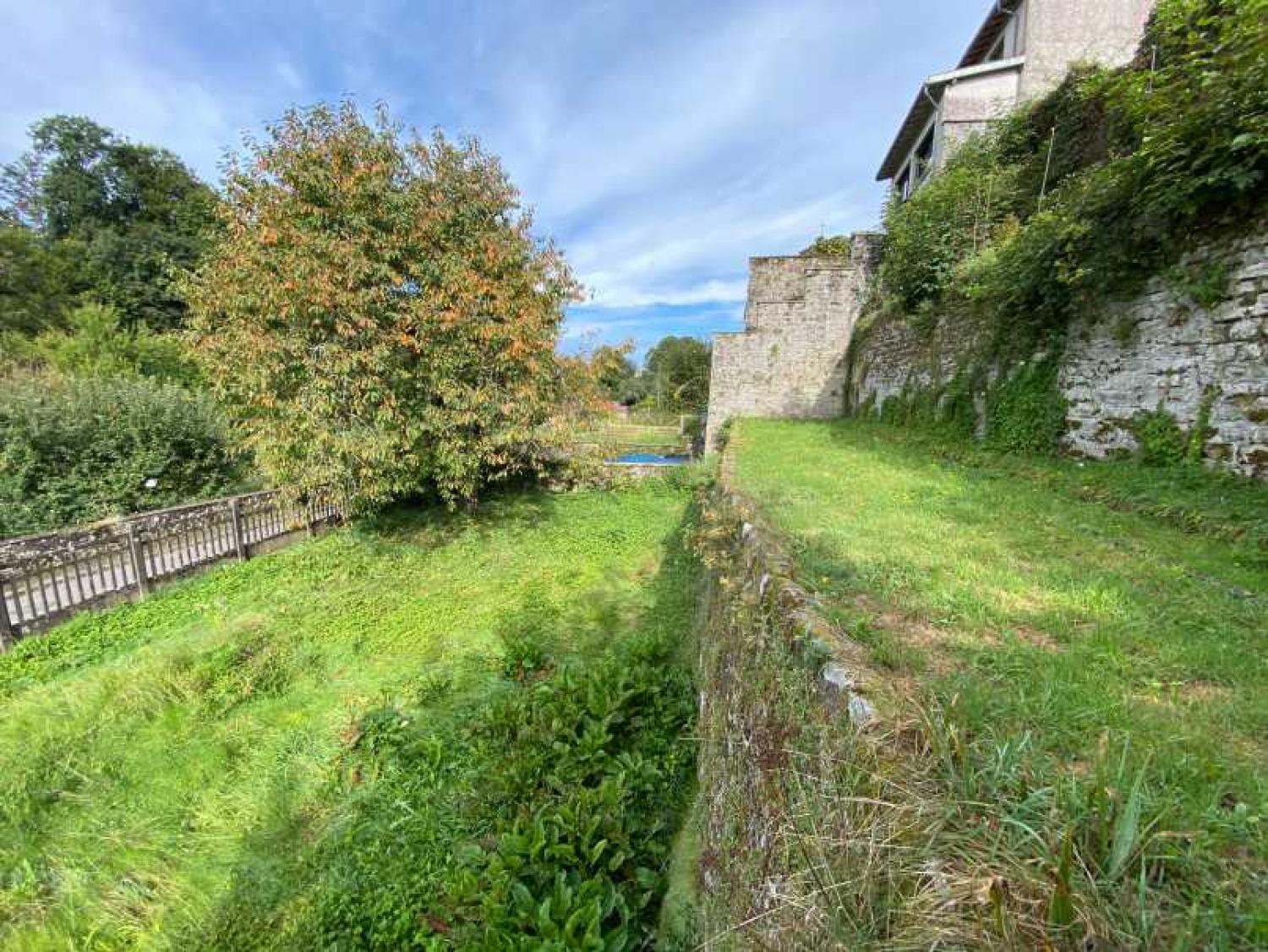  à vendre maison bourgeoise Châtillon-sur-Saône Vosges 42