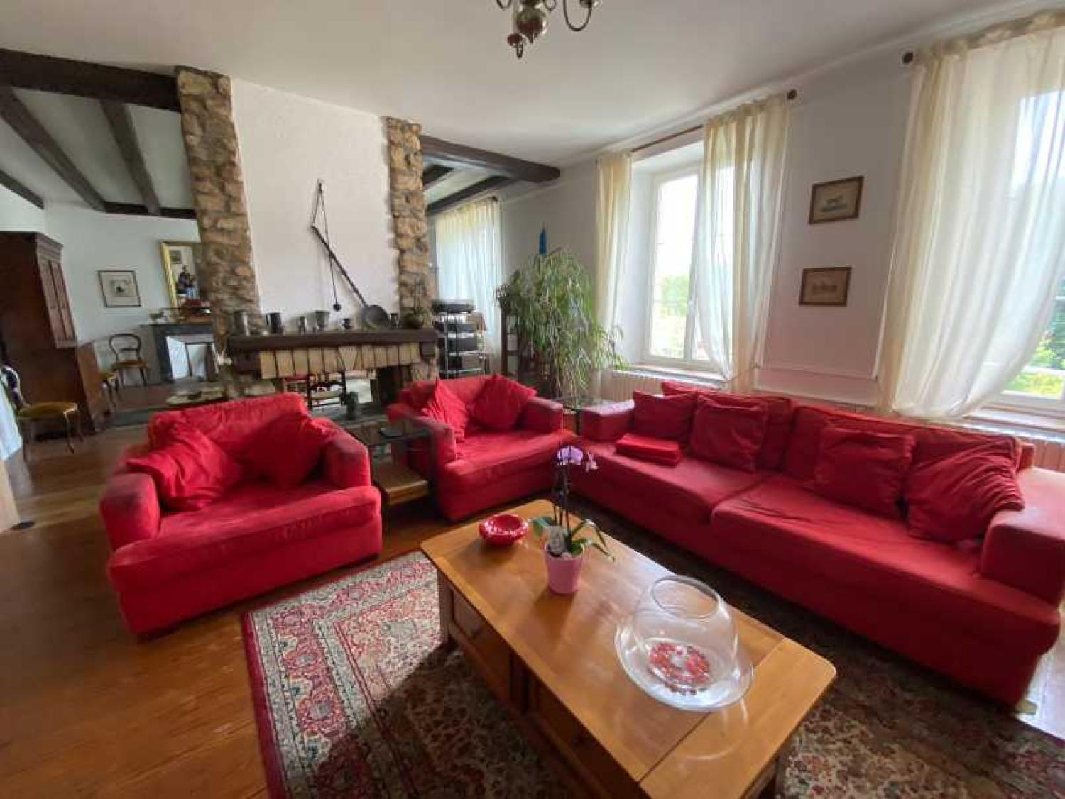  à vendre maison bourgeoise Châtillon-sur-Saône Vosges 20