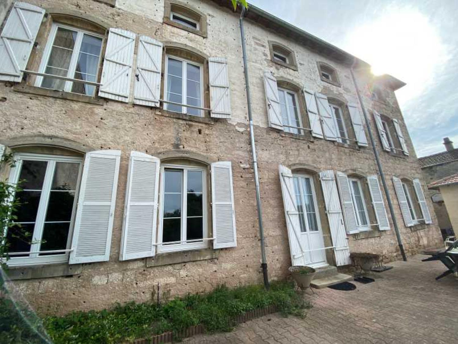  à vendre maison bourgeoise Châtillon-sur-Saône Vosges 2