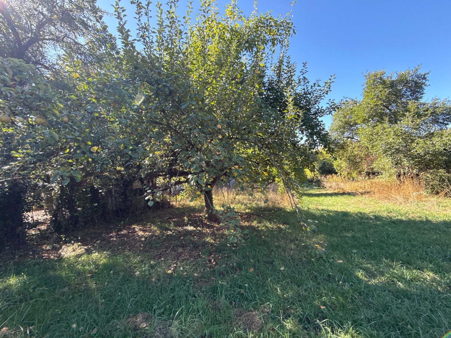 à vendre ferme de village Corre Haute-Saône 28