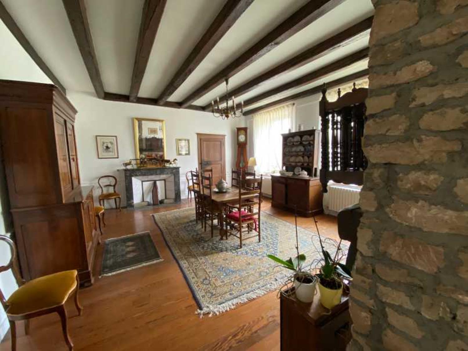  à vendre maison bourgeoise Châtillon-sur-Saône Vosges 21