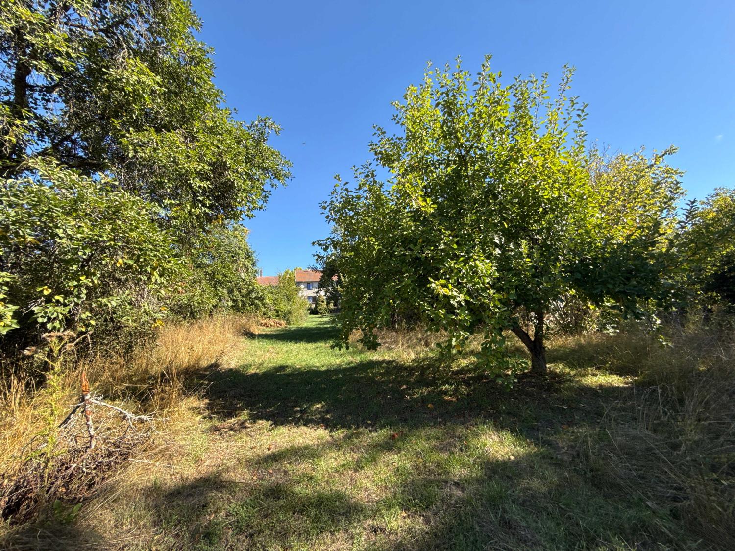 à vendre ferme de village Corre Haute-Saône 30