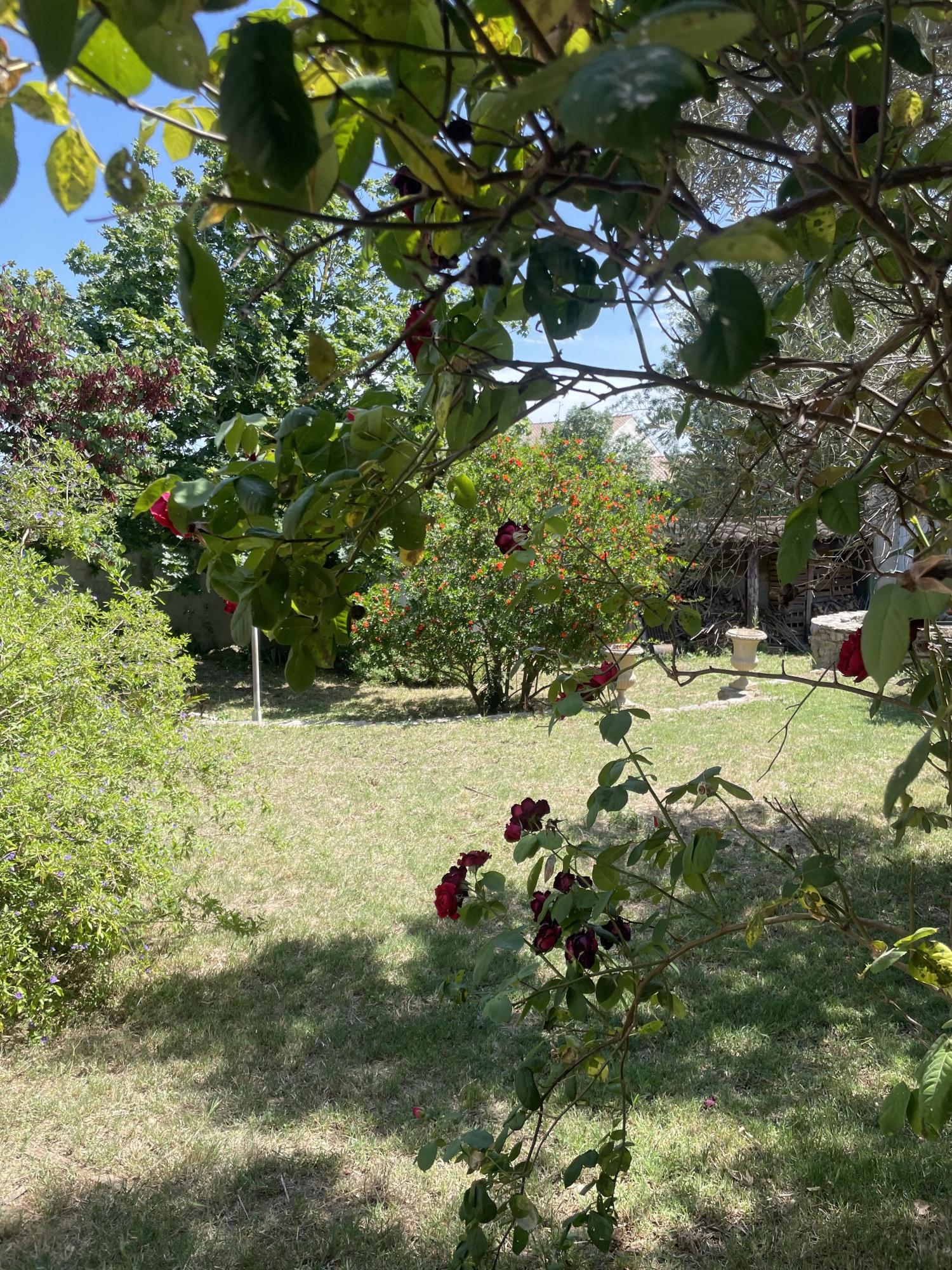 à vendre maison de village Narbonne Aude 3