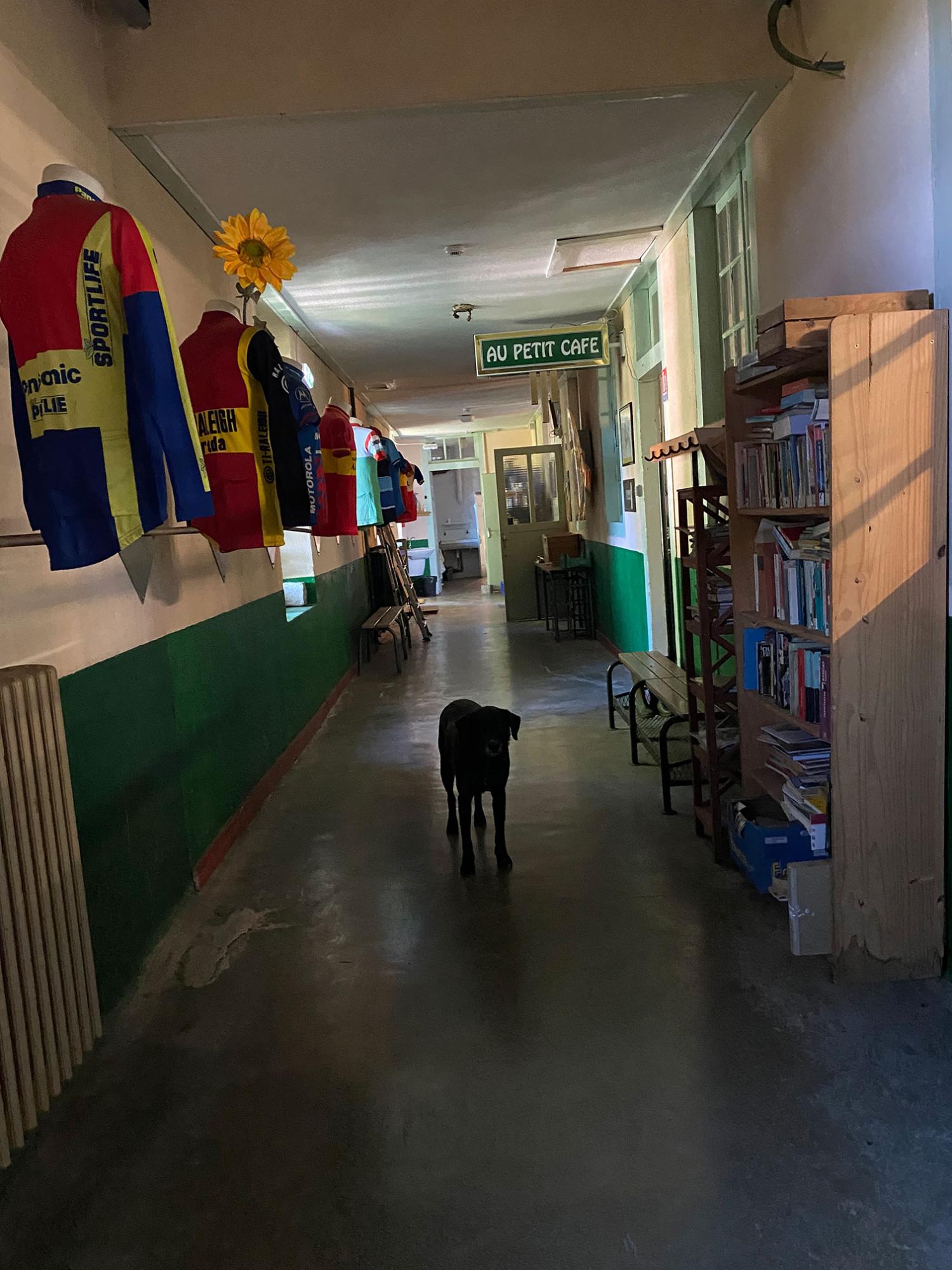 à vendre gîtes/ chambres d'hôtes Corravillers Haute-Saône 6