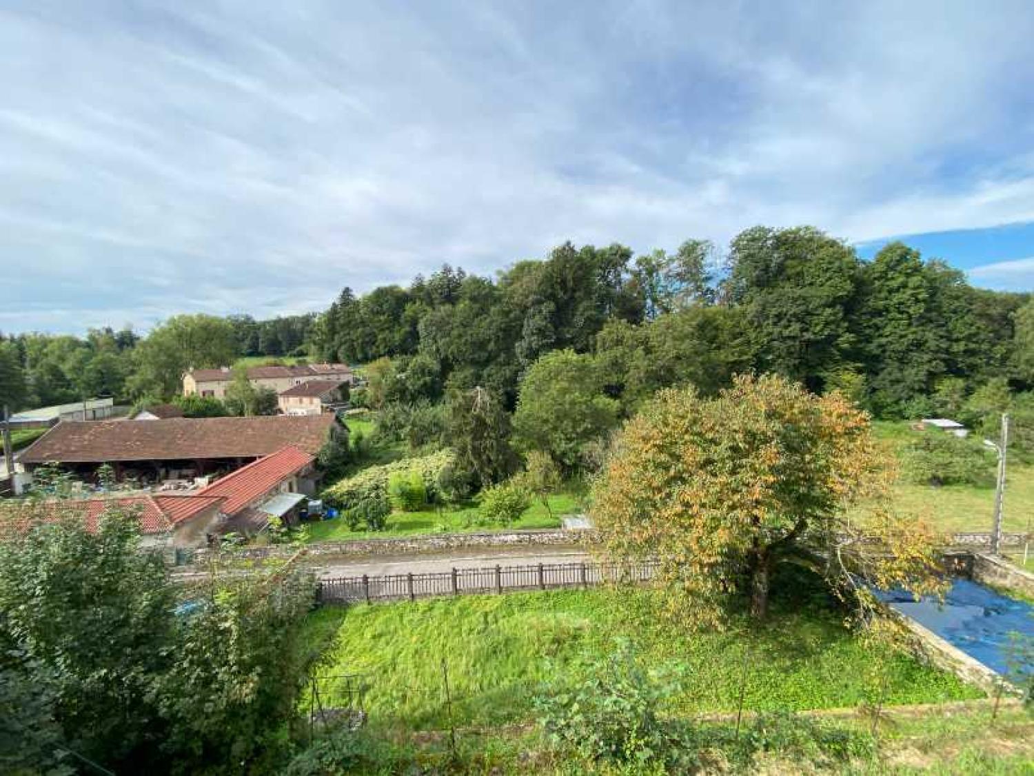  à vendre maison bourgeoise Châtillon-sur-Saône Vosges 36