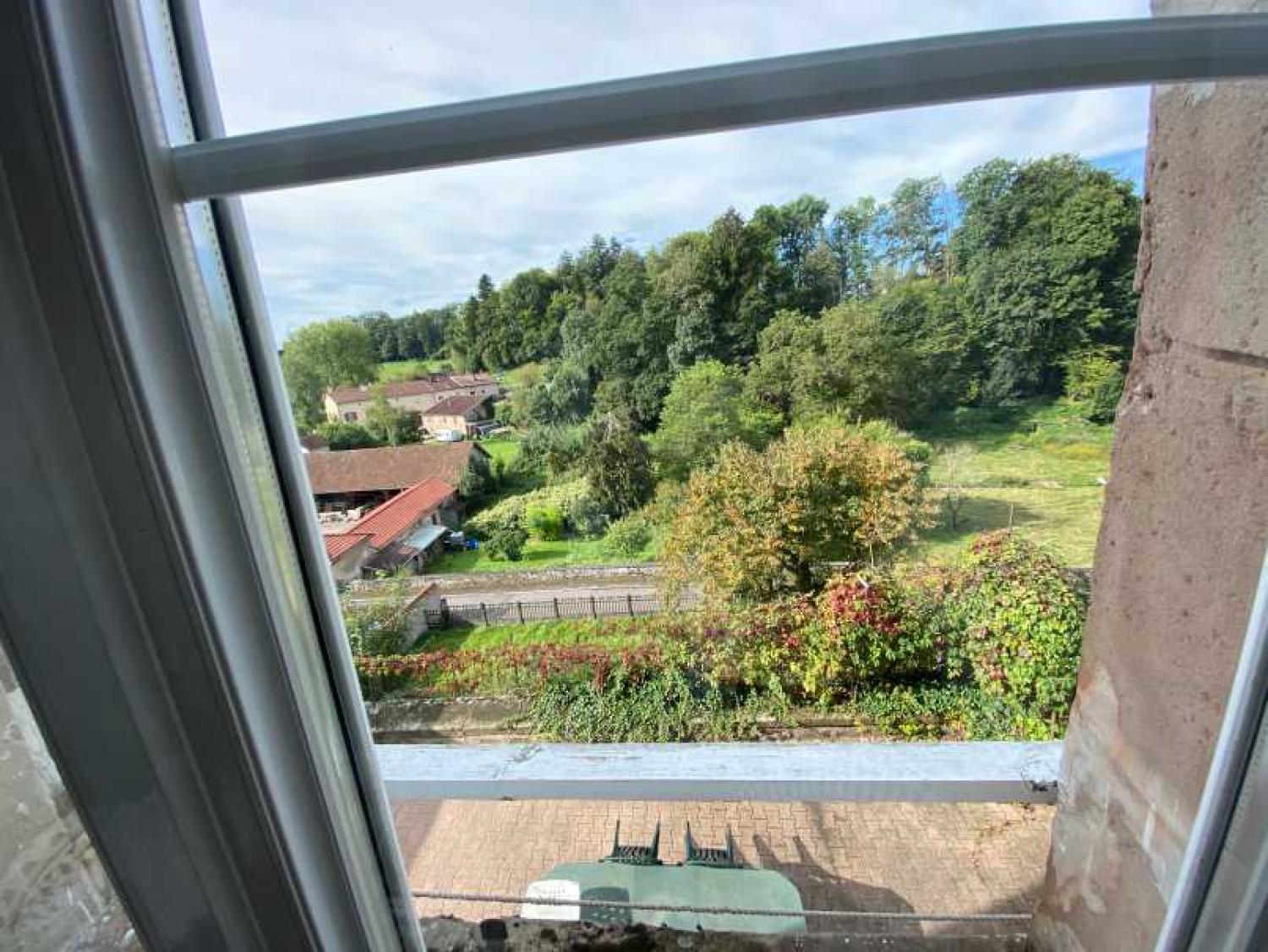  à vendre maison bourgeoise Châtillon-sur-Saône Vosges 23