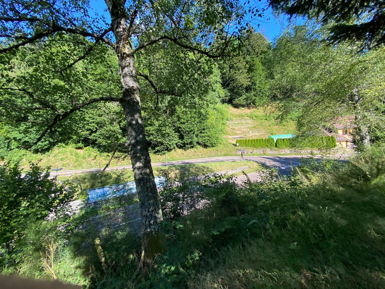 à vendre gîtes/ chambres d'hôtes Corravillers Haute-Saône 31
