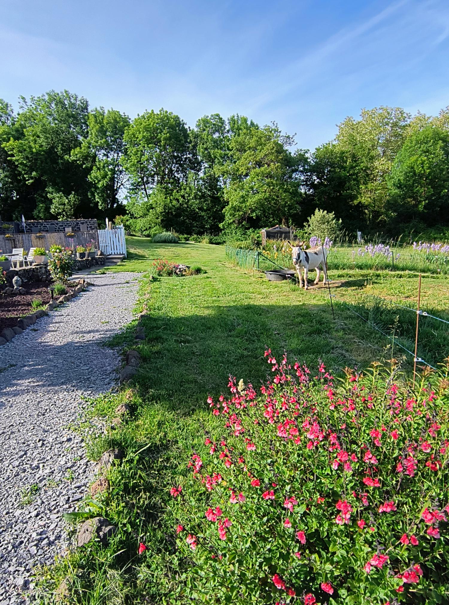 à vendre maison avec gîte Saint-Pons Ardèche 2