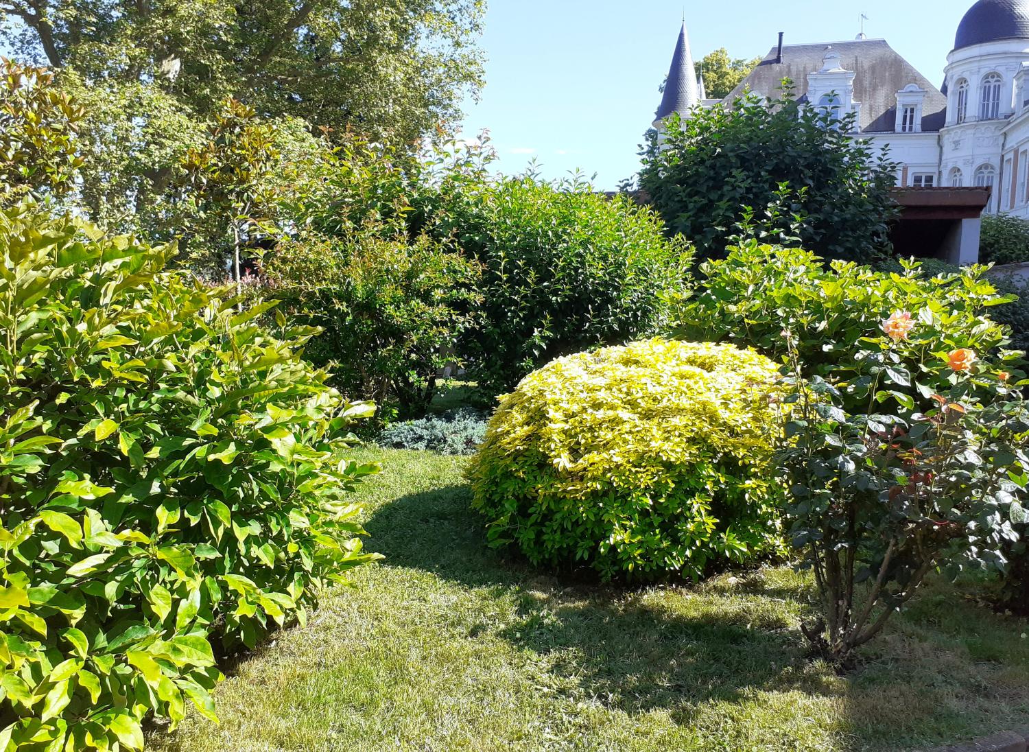  à vendre maison Sorbiers Loire 6