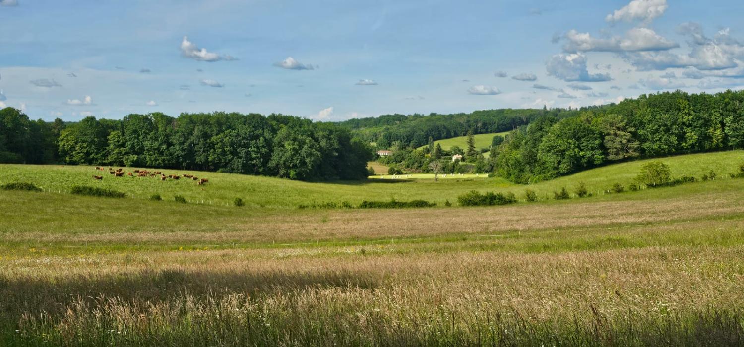 à vendre maison Rougnac Charente 3