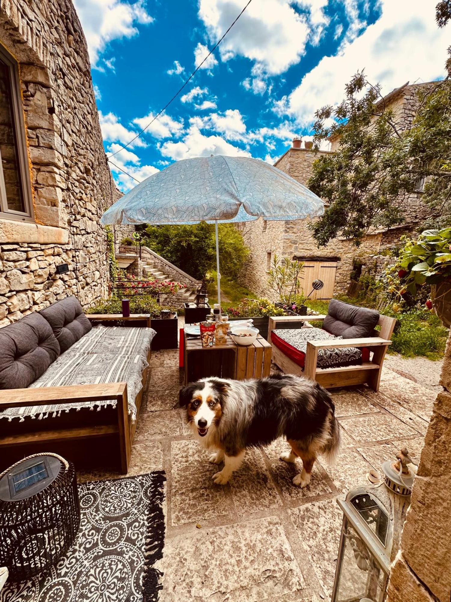 à vendre maison avec gîte Buis-les-Baronnies Drôme 18