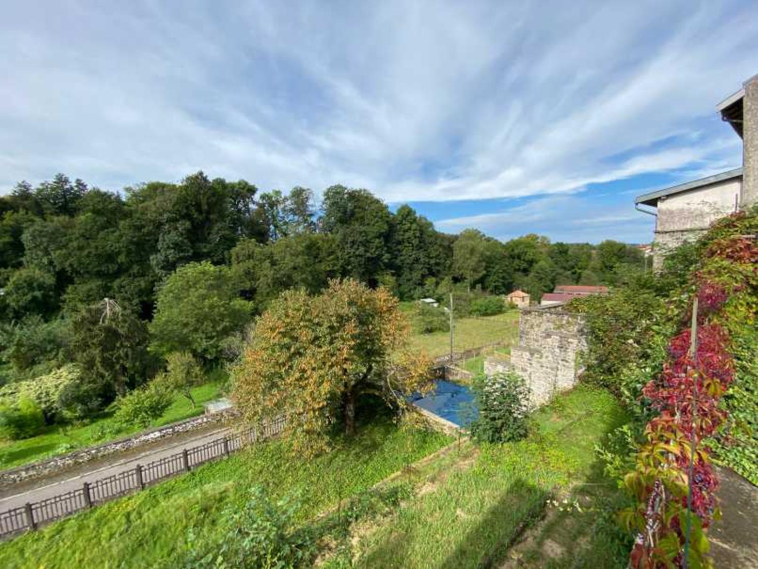  à vendre maison bourgeoise Châtillon-sur-Saône Vosges 35