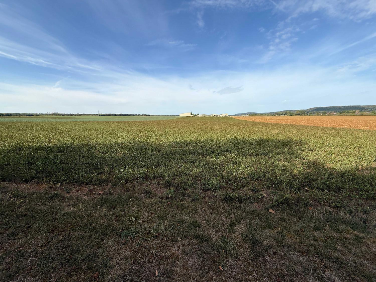 à vendre maison indépendant Liffol-le-Grand Vosges 30